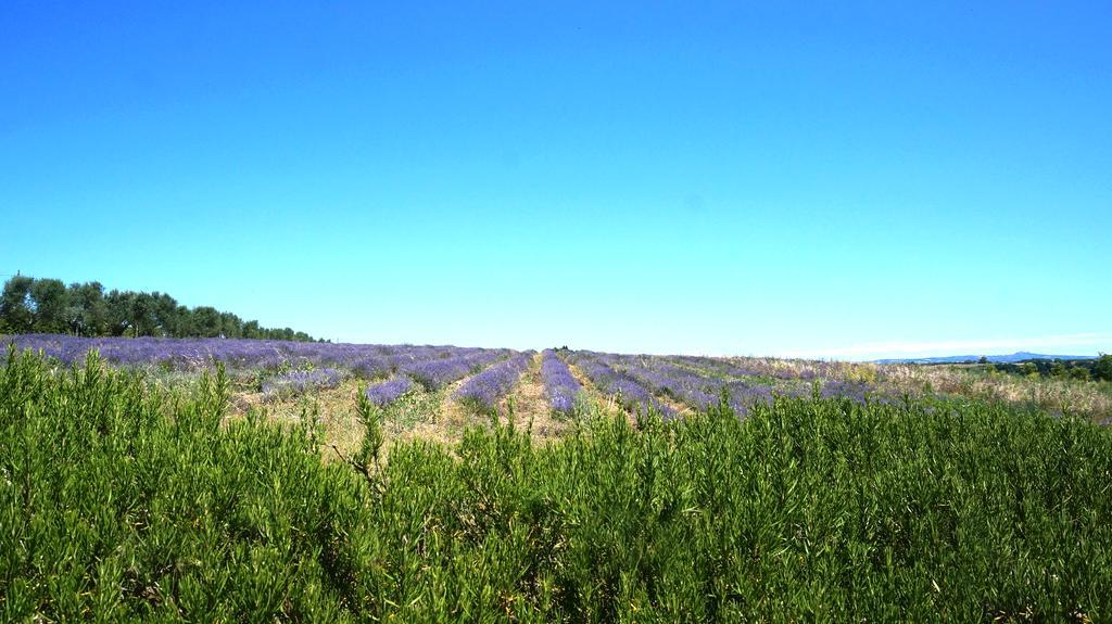 מלון טוסקניה Agriturismo San Giusto מראה חיצוני תמונה